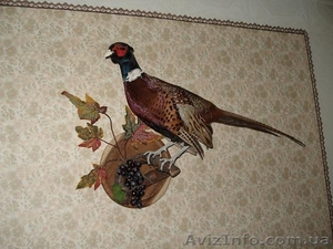 .Продам чучело фазана #876619