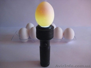 Овоскоп Универсал #892052