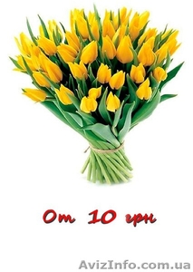 Срезы Тюльпанов. Доставка цветов #892946