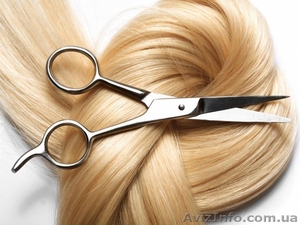 Парикмахер Курсы Скидки #876801