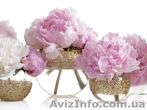 Оформление свадеб и мероприятий #891274