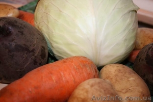 Продам капусту......................................................... #891765