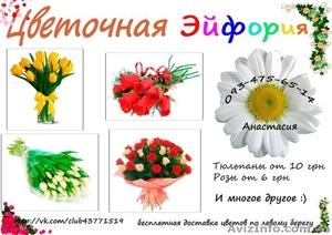Цветы. Доставка цветов #892942