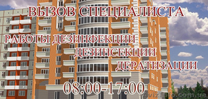 Санитарная очистка,  услуги сес,  дезинфеция,  дератизация,  дезинсекция #883357