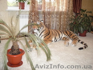 Апартаменты для семейного отдыха в Евпатории #892994