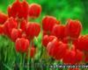 Туры выходного дня из Днепропетровска #887702