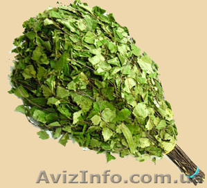 продам банные берёзовые веники #892221