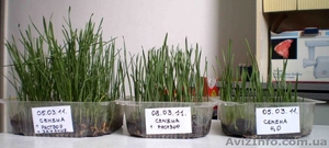 Комплексное удобрение произведенный из биогумуса #874273