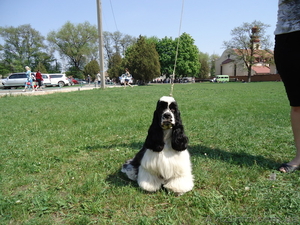 Америкашки-очаровашки будут рады знакомству с Вами! #884107