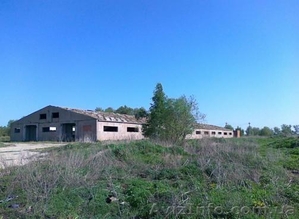 продам ферму 1400 кв.м для разведения #876211