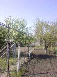 Продам дачу в СТ