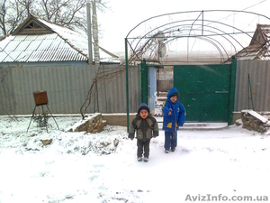 bashtanskiy r-n,  poselok kostichi #877686