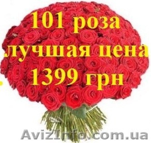 ШОК! Акция!!! Доставка цветов Букет из 101 розы всего 1399 грн #880680