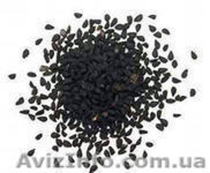 семена чернушки лука халцедон #873465