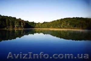 Отдых на Свитязе майский,  летний,  бархатный. Відпочинок Шацькі озера  #883876