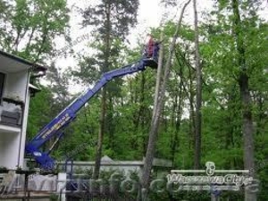 спилить дерево. Корчевание пней. #877456