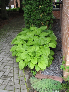 Демонтаж в квартире. #883263