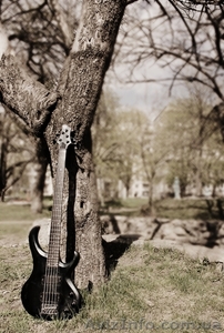 Продам бас-гитаруe Ibanez BTB 205 #891427