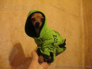 супер мини девочка #888208