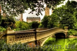 English tutor -учим английский #891915