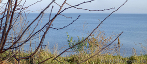 Шикарная прибрежная земля для Вашей усадьбы,  две стороны по 