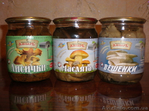 Консервный завод продает опята,  маслята,  вешенку маринованные СКО 0, 5л. тм Золот #884246