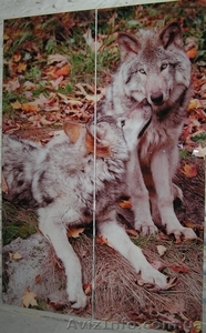 Экологически чистая фотопечать-ламинат для фасадов шкафов-купе. #873377