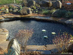 Эко пруды,  плавательные пруды,  декоративыне водопады,  ручьи #891980