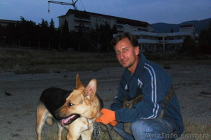 Окажу помощь в поиске жилья на лето  Крым  Судак #892416