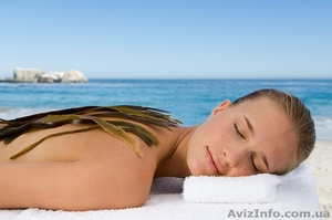 Обвертываение- грязи,  шоколад,  водрасли. Позволь себе быть красивой.  #874301