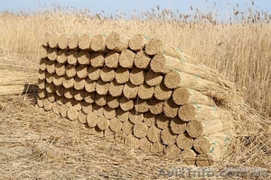 Продам камышовые снопы #883525