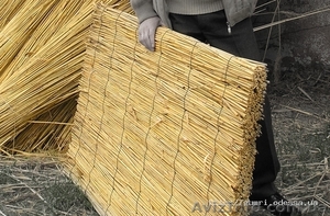 Продам камышовые маты #883507