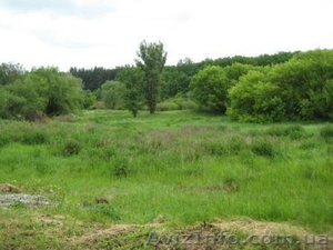 Продажа земельный участок 80сот,  свой берег,  лес, газ. #900372