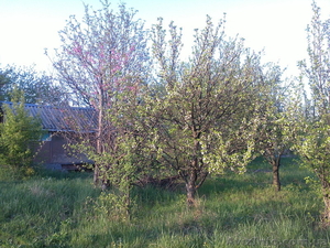 продам свой дачный участок с летним домиком #894514