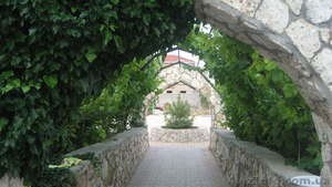 Отдых на частной территории в Крыму,  Тарханкут #896395