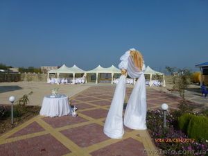 Кейтеринговая компания Eticet #900625