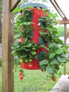 Выращивание клубники в контейнерах Strawberry Planter #904969