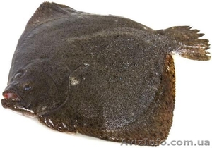 СВЕЖАЯ РЫБКА - ОПТ #905958