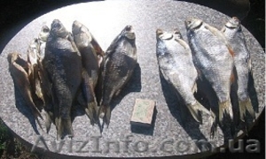 Сушена вялена риба #897019