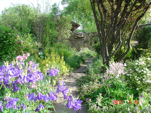 Парковый сад для посещений #904358