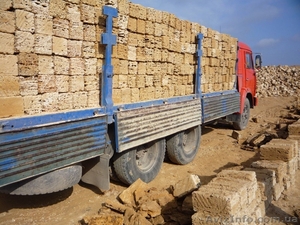 Камень-ракушечник #894458