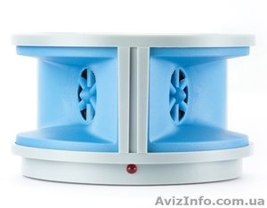 Щури і миші бігають по всьому приміщенню як у себе удома? #904255