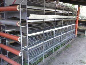 Батарея для перепелов (2000шт.) #896817