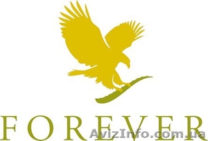 Бизнес с компанией Forever Living Products #901029