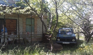 Продам дачу под Моспино #898843
