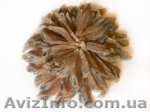 Александр +38 050 308 77 22 #907440