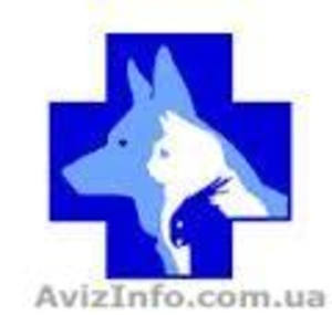 Ветеринарная клиника ( Ветеринарний лікар) #900978