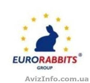 Предлагаем прибыльный  бизнес #900555