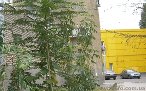 Продуктовый магазин с оборудованием #902829