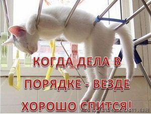 Не давайте повода для ЗАКОННЫХ штрафов! #903584